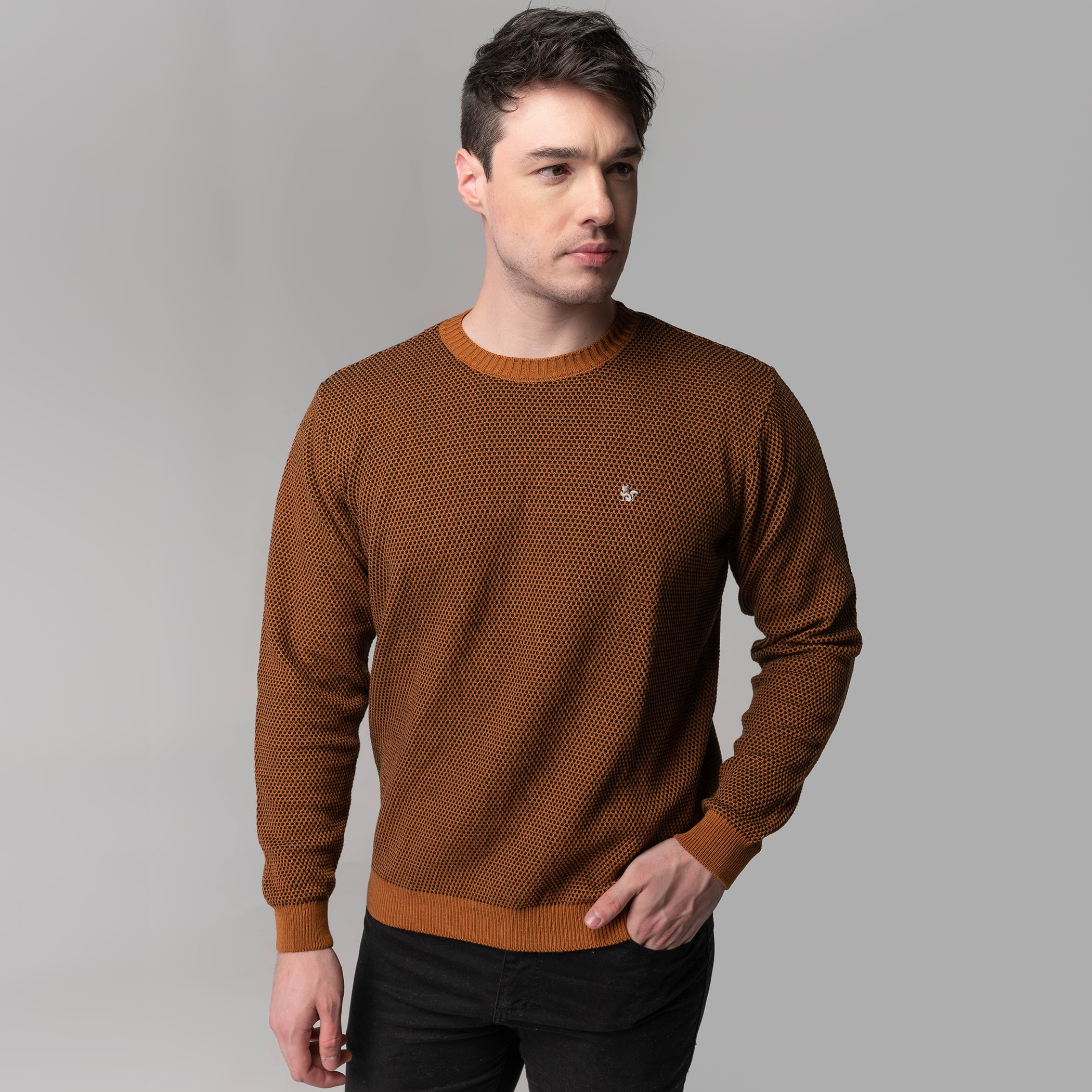 Herrenpullover